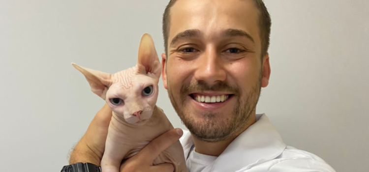 Fevereiro Laranja: cuidados e prevenções para que seu gato não tenha FeLV