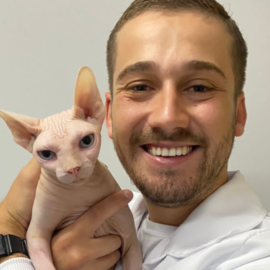 Fevereiro Laranja: cuidados e prevenções para que seu gato não tenha FeLV